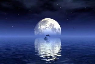 为什么月亮天蝎是极品：月亮天蝎，灵魂深处的极致魅力与生命原力