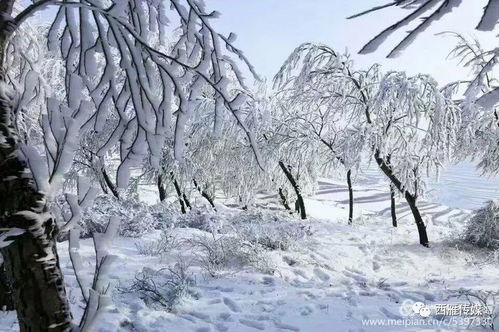 梦见下雪：雪落梦境，一场关于治愈与重生的隐喻之旅