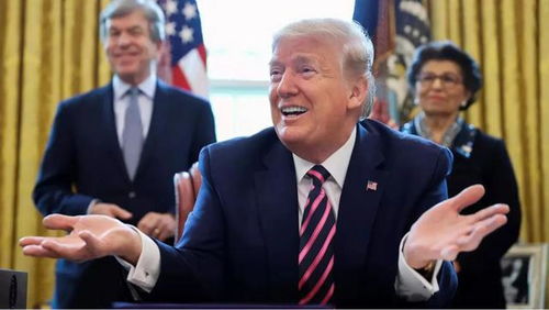 A股震荡，软件白酒有望补涨