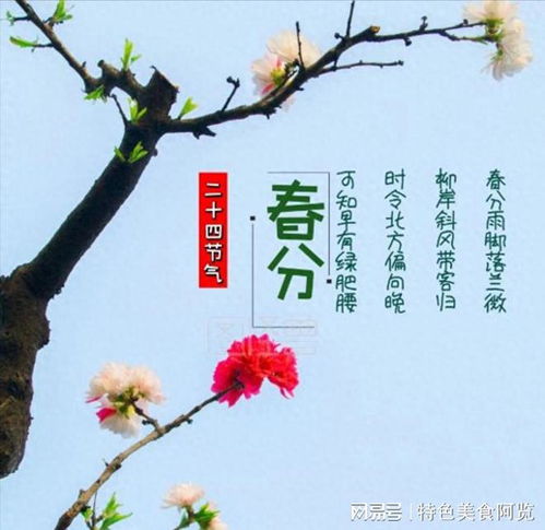 3月20日：春分至，福满人间，3月20日里的自然馈赠与人间温情