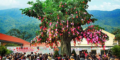 圆通山哪里可以求姻缘：圆通山祈福求姻缘，神仙助攻的浪漫之地！