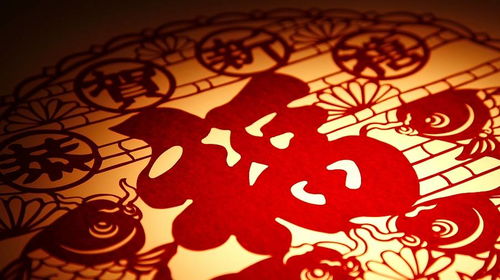 2011年是什么命：2011年生肖运势全解析，辛卯兔年命理格局与人生机遇