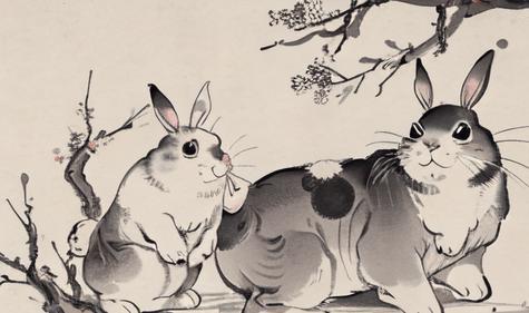 属兔今年运势：2024属兔人运势全解析，吉星高照，把握机遇迎接顺遂之年