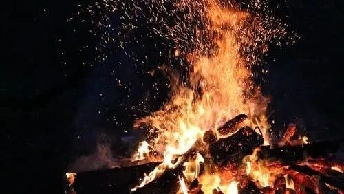 梦见死鱼5种征兆要发财：梦见死鱼五大吉兆，财富即将敲门，这5种征兆要提前准备！