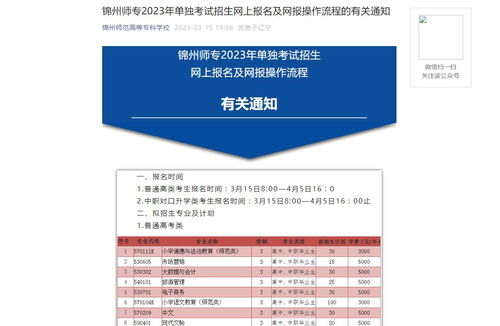 大专招生网官网（大专招生网官网大专录取查巡）