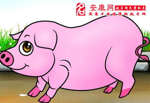 71属猪2023十年大运：2023年属猪人十年大运解析，吉凶交织中的机遇与挑战