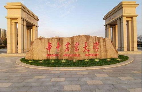 武汉最低分的三本大学（武汉要分最低的211大学）