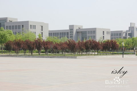 天津城建大学（天津城建大学研究生院）