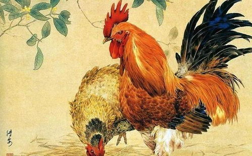 属蛇和属鸡最佳姻缘相配：属蛇与属鸡，最佳姻缘相配的秘密揭秘