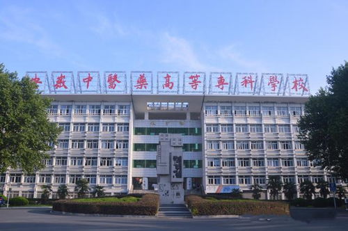 安徽中医药高等专科学校（安徽中医药高等专科学校地址）