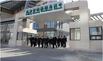 广州白云职业技术学校招生信息（白云职业学校官网招生）