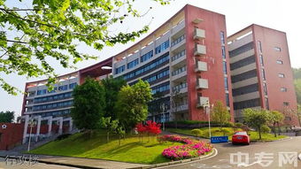 重庆医药高等专科学校（重庆医药高等专科学校官网）