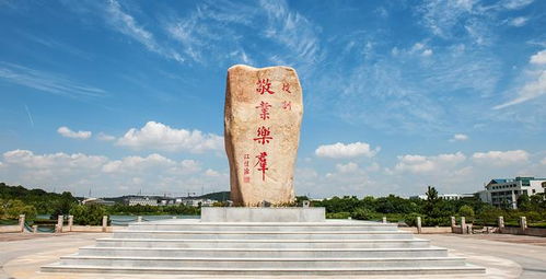 南京工业职业技术大学（南京工业职业技术大学校长）