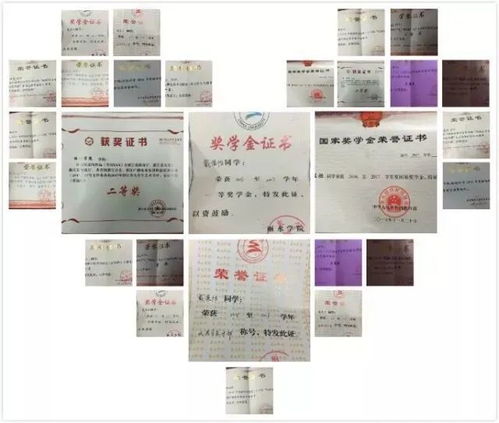 陕西专升本可以报考哪些大学（陕西省内专升本可考取的学校）