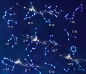 12十二星座智商排名：十二星座智商排名，科学视角下的性格特质与认知能力解析