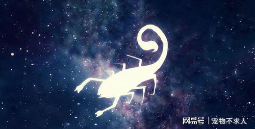 唯一能打败天蝎的星座：唯一能打败天蝎座的星座，水象星座如何用情感智慧化解宿命对决？