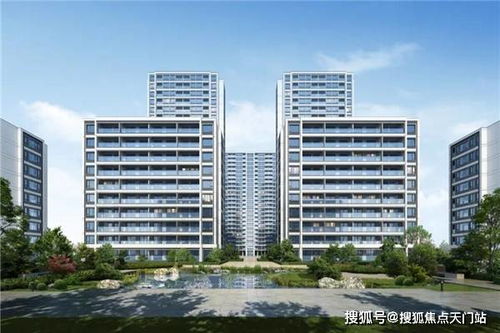 算姻缘最准的大师微信：揭秘，算姻缘最准的大师微信，你真的找得到吗？