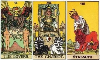 塔罗牌黑色塔罗牌正版：神秘力量的召唤，探索黑色塔罗牌正版的奥秘