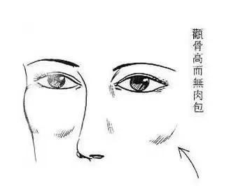 面相学：面相学，千年智慧解码命运密码