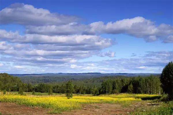 土象：土象星座，扎根大地，成就非凡