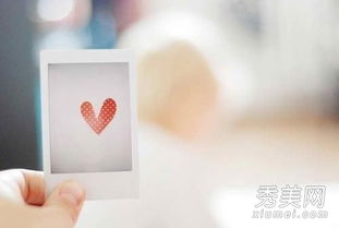 婚姻树测试免费测试：免费婚姻树测试，解码婚姻健康密码，助你找到幸福真谛