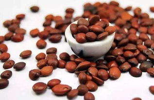 枣仁安神胶囊越吃越睡不着：揭秘枣仁安神胶囊，为何有人越吃越睡不着？