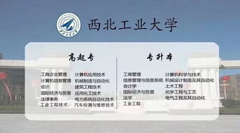 政府免费提升学历（政府免费提升学历没考试能考吗）