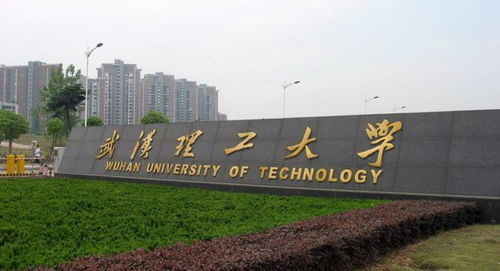 武汉三所顶尖大学（武汉顶尖大学有几所）