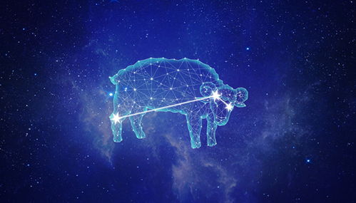 白羊座的性格：白羊座，火象星座的先锋者，热情与勇气的双重奏