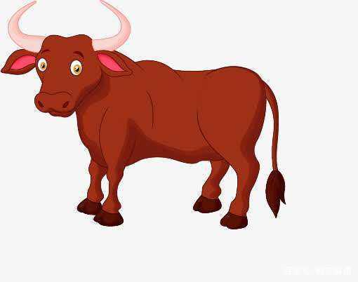 97年属牛女生结婚吉日：97年属牛女生结婚吉日，红鸾星动，良辰吉时迎幸福