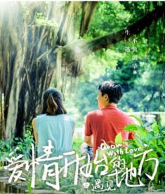 重庆姻缘树在哪儿有：重庆姻缘树，浪漫之地，见证爱情