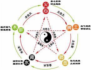 1998年五行属什么：1998年出生五行属土木？解析戊寅年天干地支与个人运势的关联