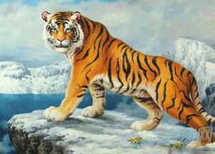 1986年虎2023年运势：1986虎年人2023兔年运势全解析，机遇与挑战并存，这4大方向需重点关注