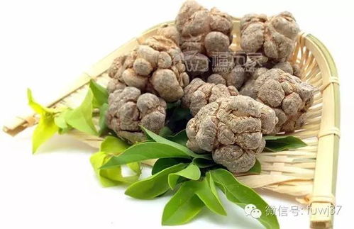 三七的作用与功能主治：三七，神奇草本，功效卓越—探索三七的作用与功能主治