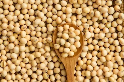 摩羯座10大优点：摩羯座10大优点，可靠、坚韧与领导力的完美结合