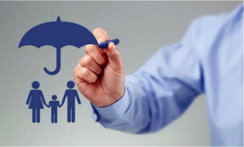 保险的风险控制措施通常是什么？