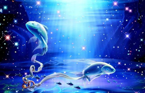 金牛座女和什么星座最配：金牛座女与哪些星座天生一对？这五大星座默契度满分！