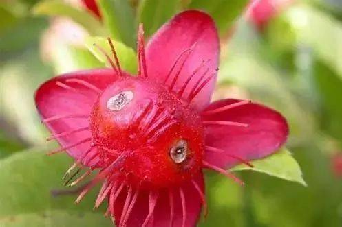 考了100分可以上技校吗（考了100分可以上技校吗西瓜熟了怎样变别）