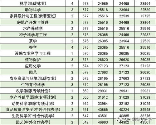 2024年大学录取分数线（全国大学录取分数线表）