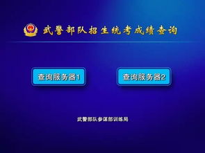 身份证信息查询：身份证信息查询全攻略，安全、规范与注意事项