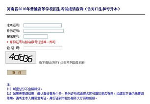 专业代码查询入口2025（专业代码查询入口2025河南）