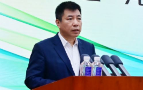 杨总董事长好姻缘：风雨同舟，幸福同行—杨总董事长与妻子的温馨故事