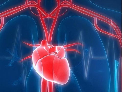 心脏跳动过快吃什么药：小心心脏过速，这些药物能帮你稳定心率