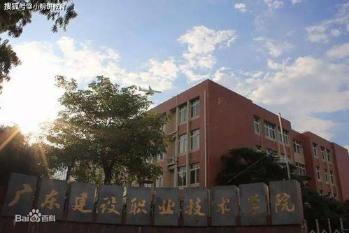 广东科学技术职业学院官网（广东科学技术职业学院官网入口）