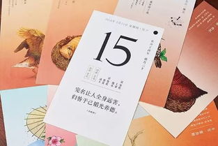 看日子：看日子，从黄历智慧到现代生活的时间美学