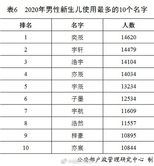 新生儿取名大全免费：新生儿取名大全免费，2023年最全参考指南（附权威资源+避坑技巧）