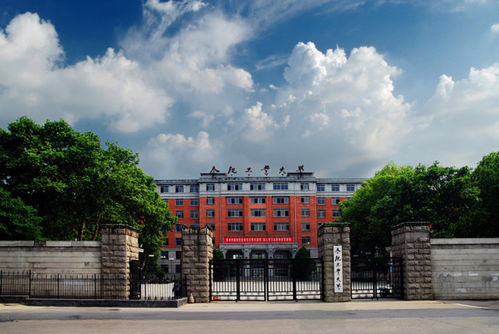 合肥工业大学（合肥工业大学校长）
