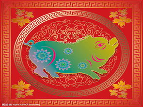 属猪和属兔的姻缘好吗：属猪和属兔的姻缘，传统命理与现实幸福的平衡