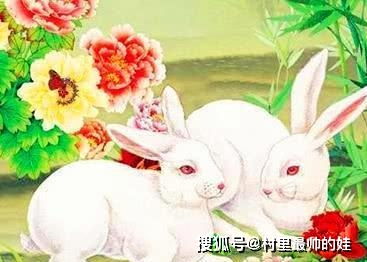 属兔人命最差农历月份：属兔人需警惕的农历月份，运势低谷与化解建议