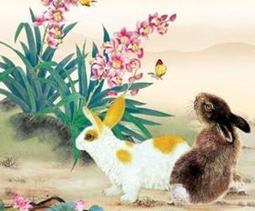 属兔人命最差农历月份：属兔人需警惕的农历月份，运势低谷与化解建议